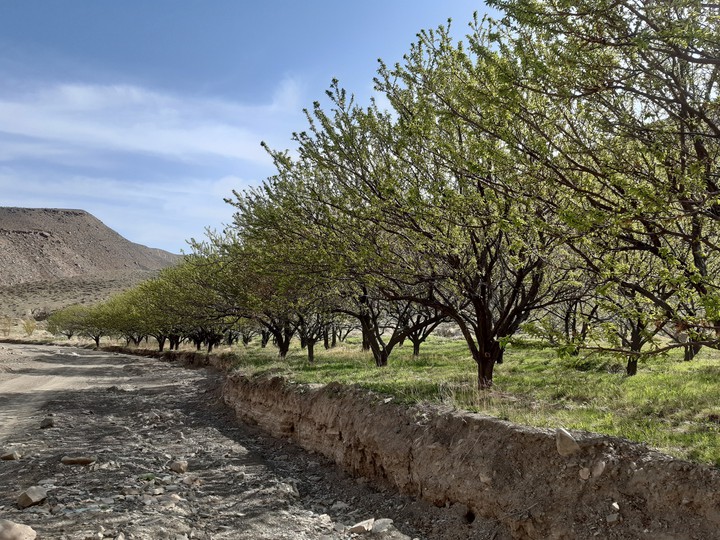 iran