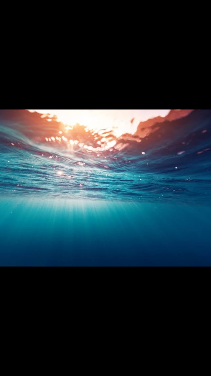 beautiful view of sea in under water