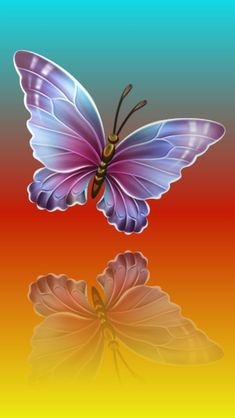 butterflies