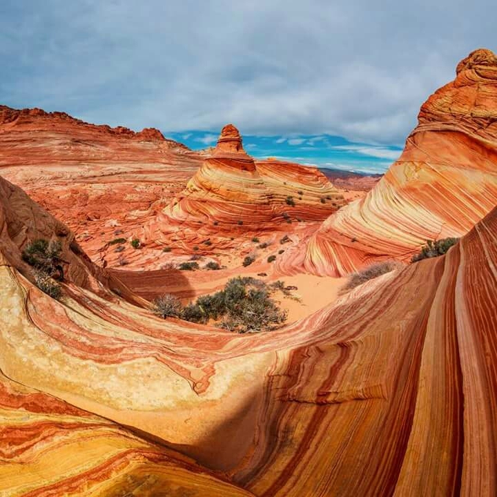 beautiful waves