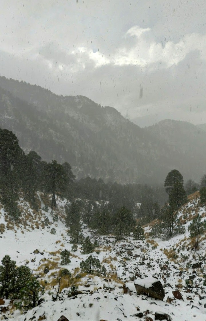 nevado de Colima