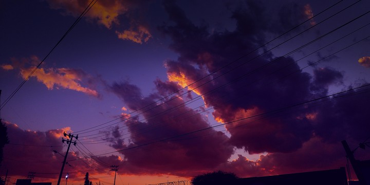 noche violeta