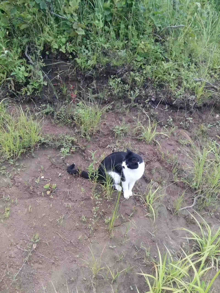 ??