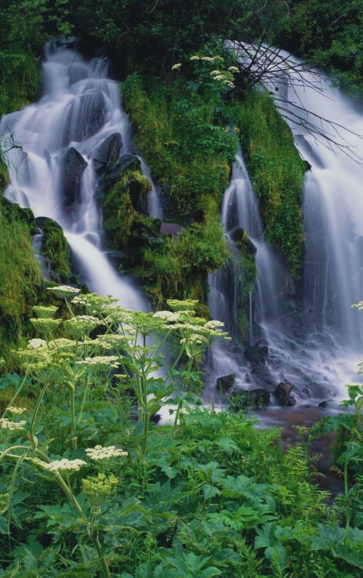 Cachoeira