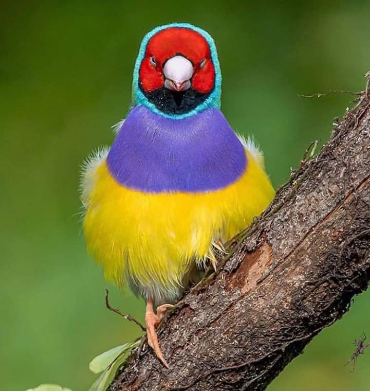 ❤