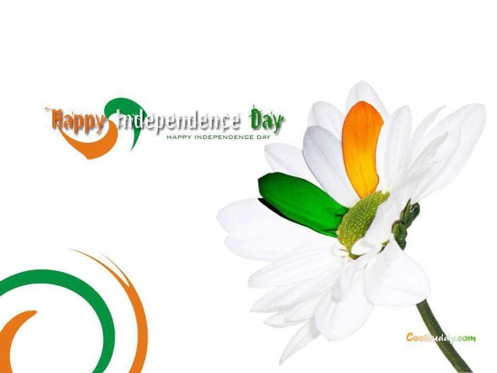 happy independence day
