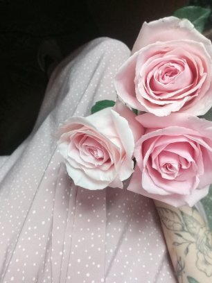 roses, pink, happy