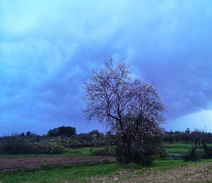 salento