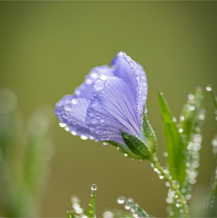Droplets