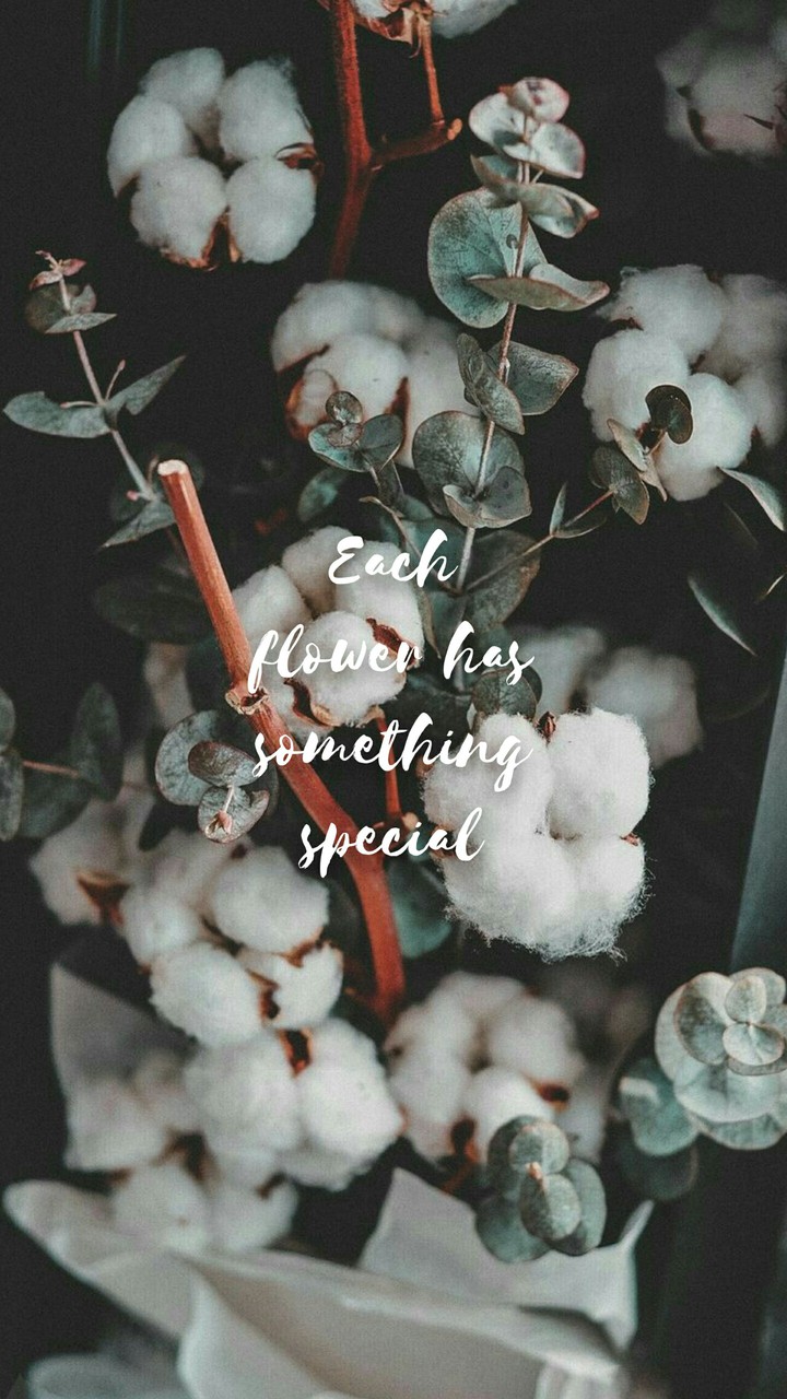 Quote