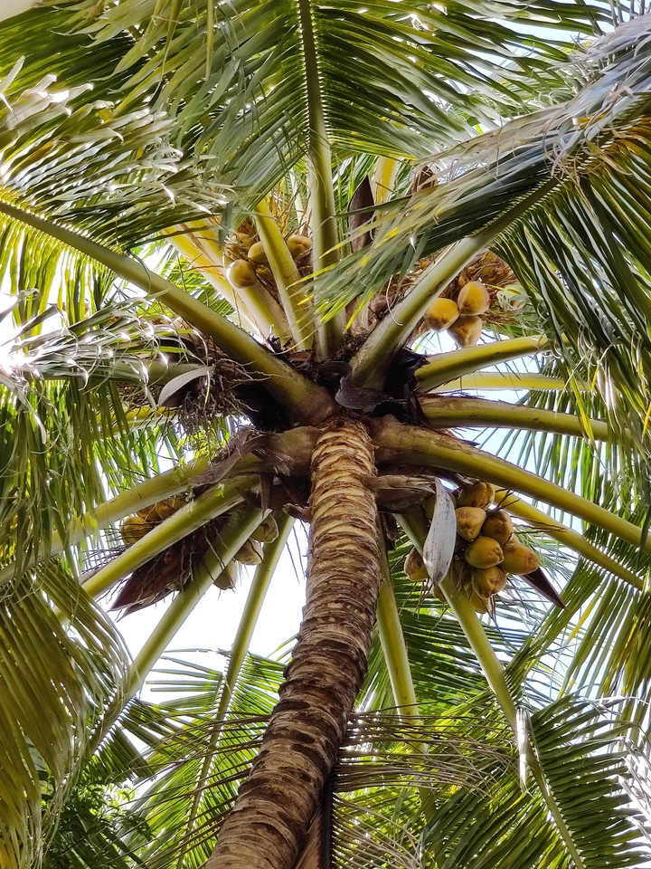 Looking up...