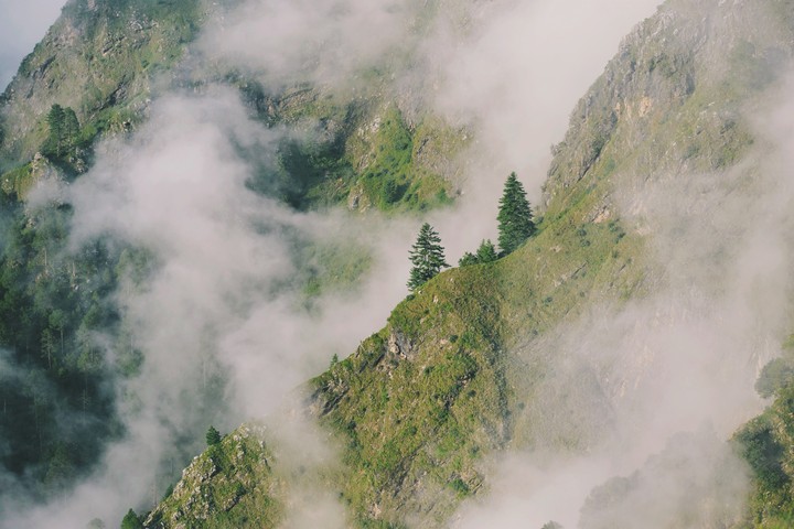 nature club