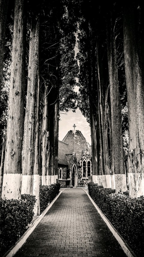 tapety arch, cathedral