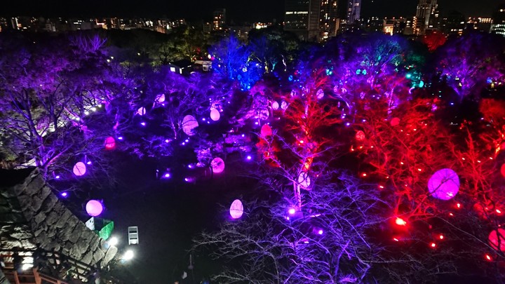 colorful night