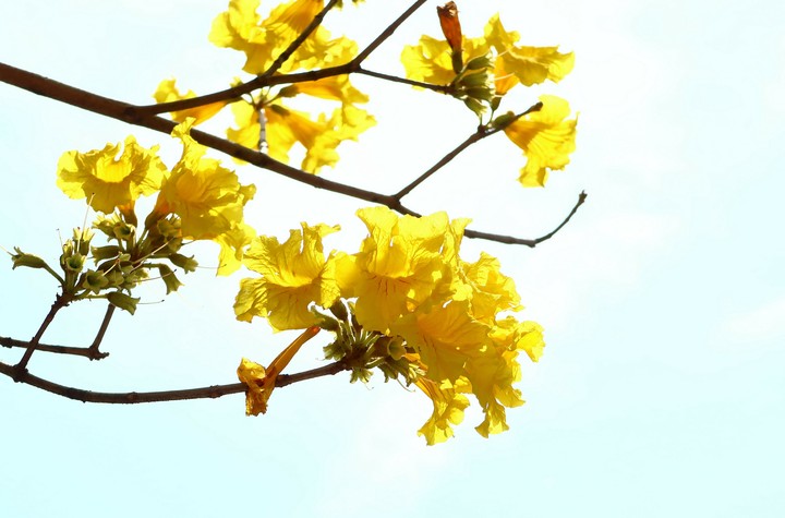 Sun Belind