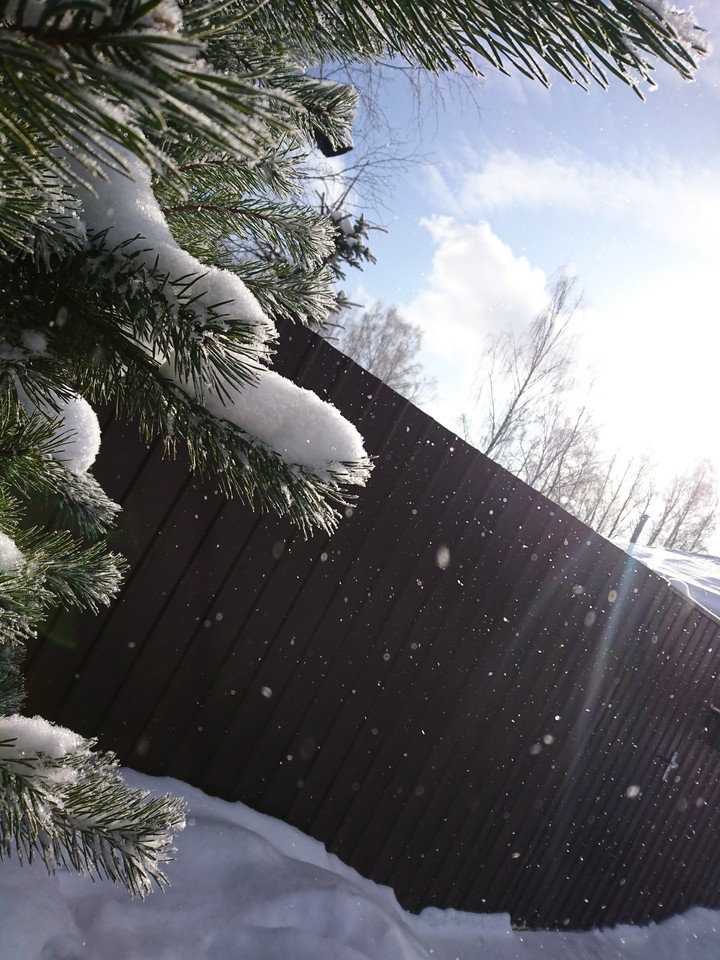 winter