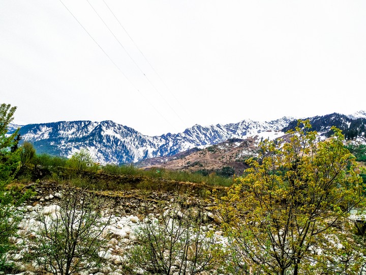 Nature