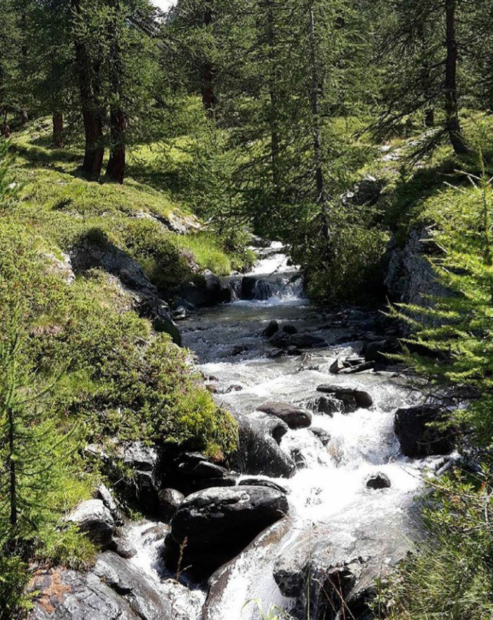 A mountain streamlet