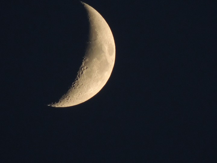 Moonlight