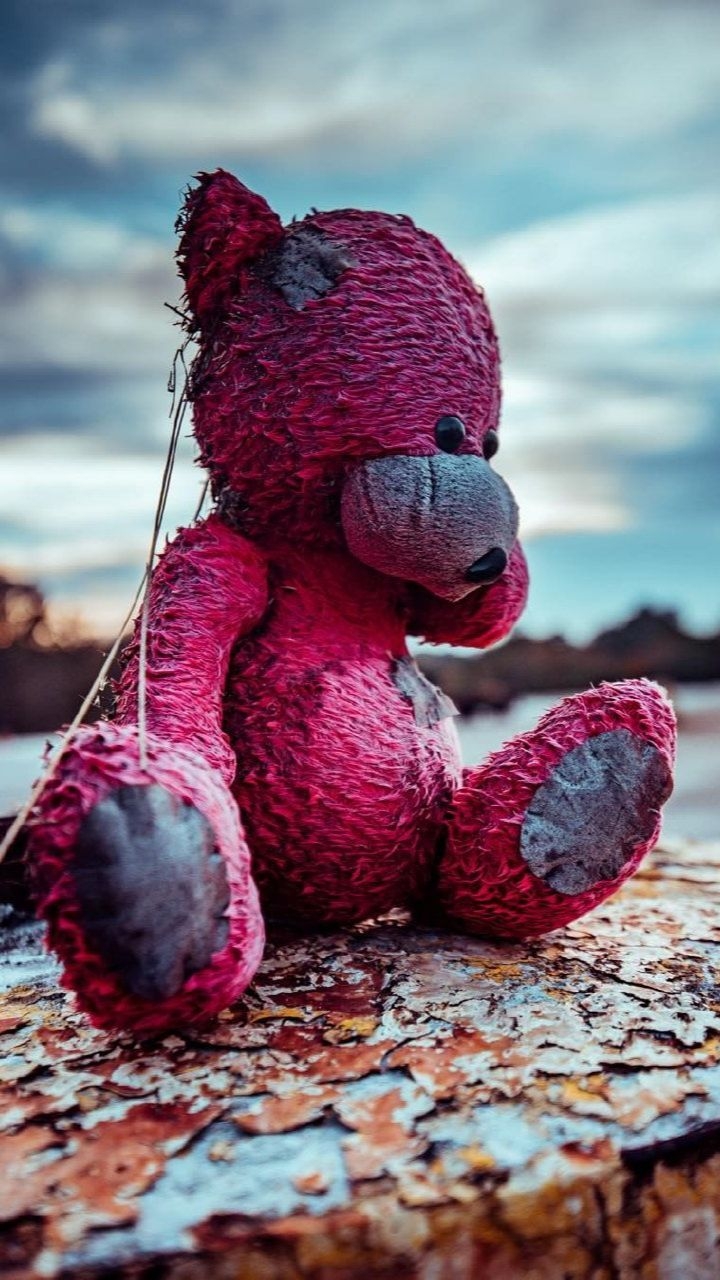 bear