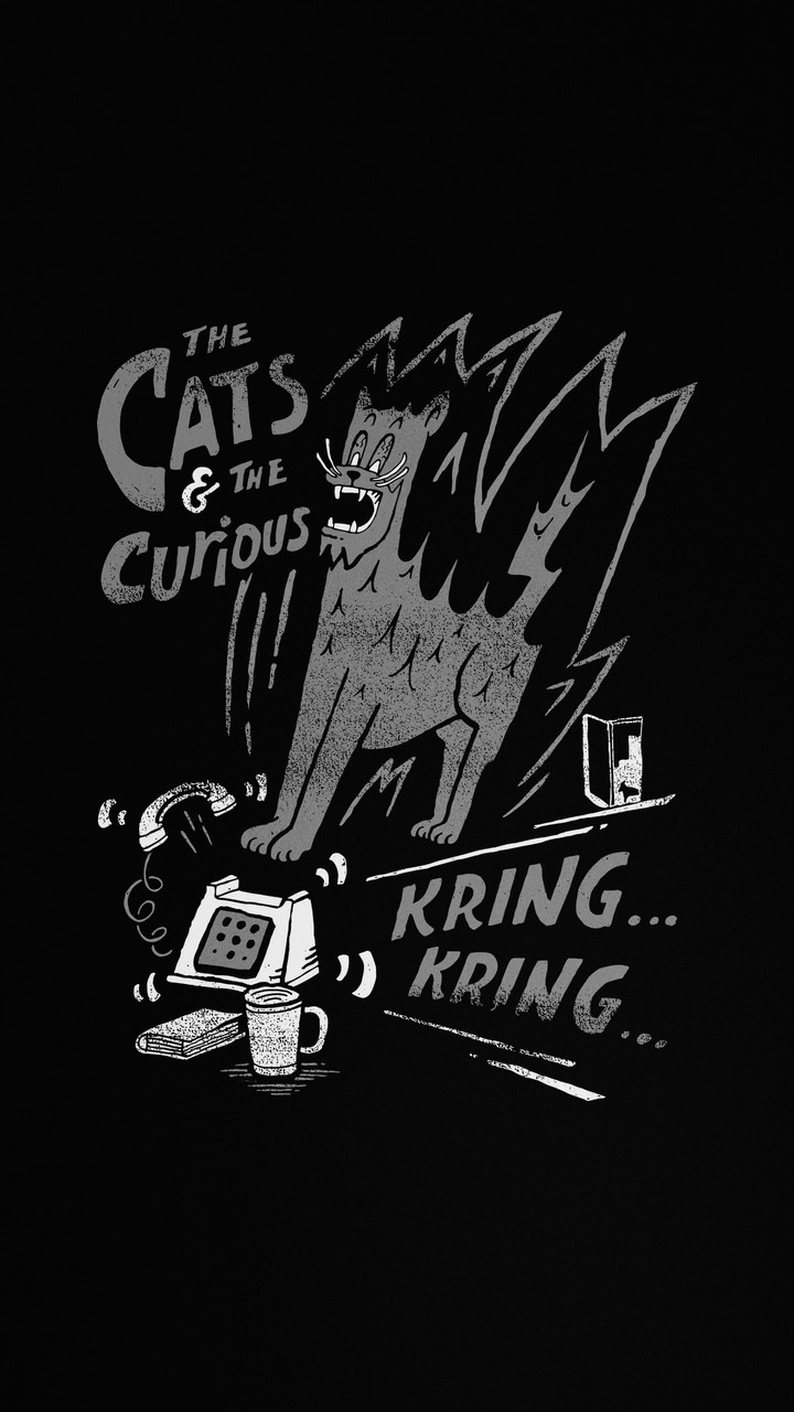 Scared Cat