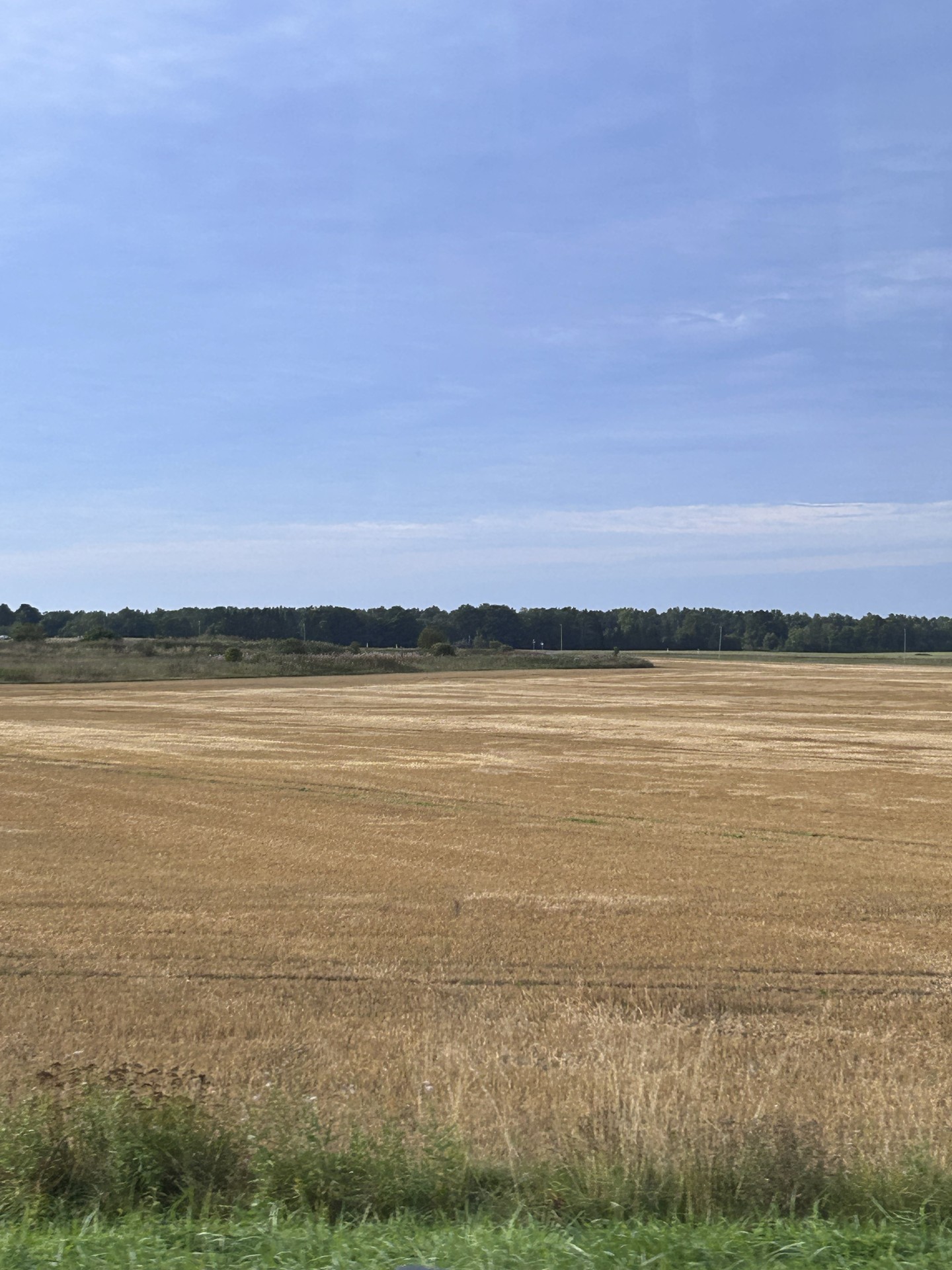 Field, daytime Hintergrundbilder