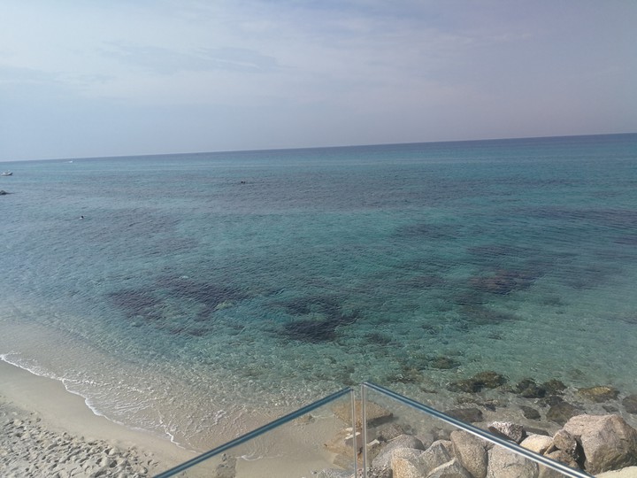Tonicello