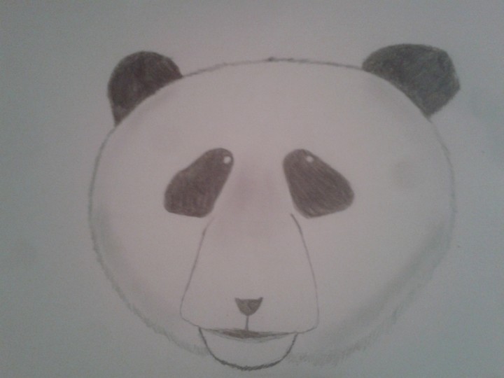 drawed panda