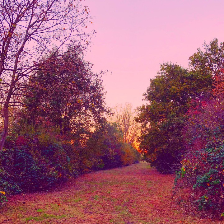 Autumn