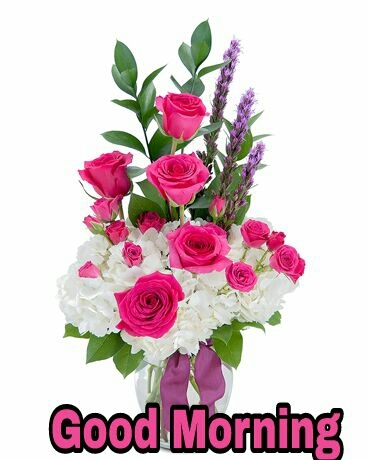 good morning
