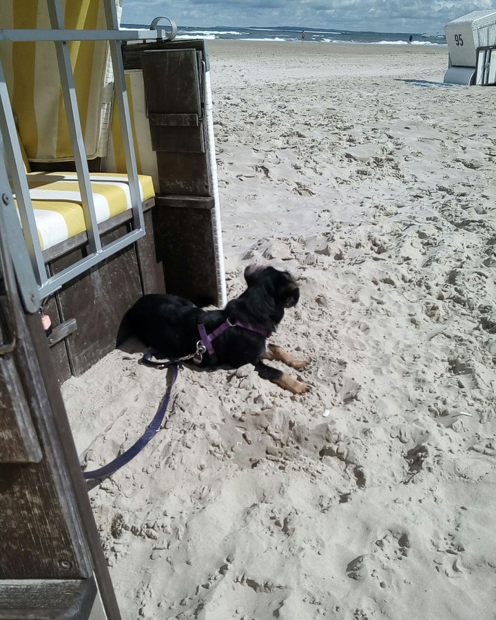 Unser hack an der Ostsee!! Sein 1. Urlaub.