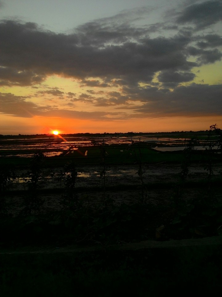 Sun set