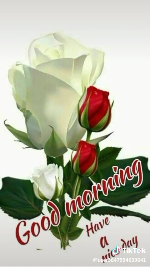 good morning