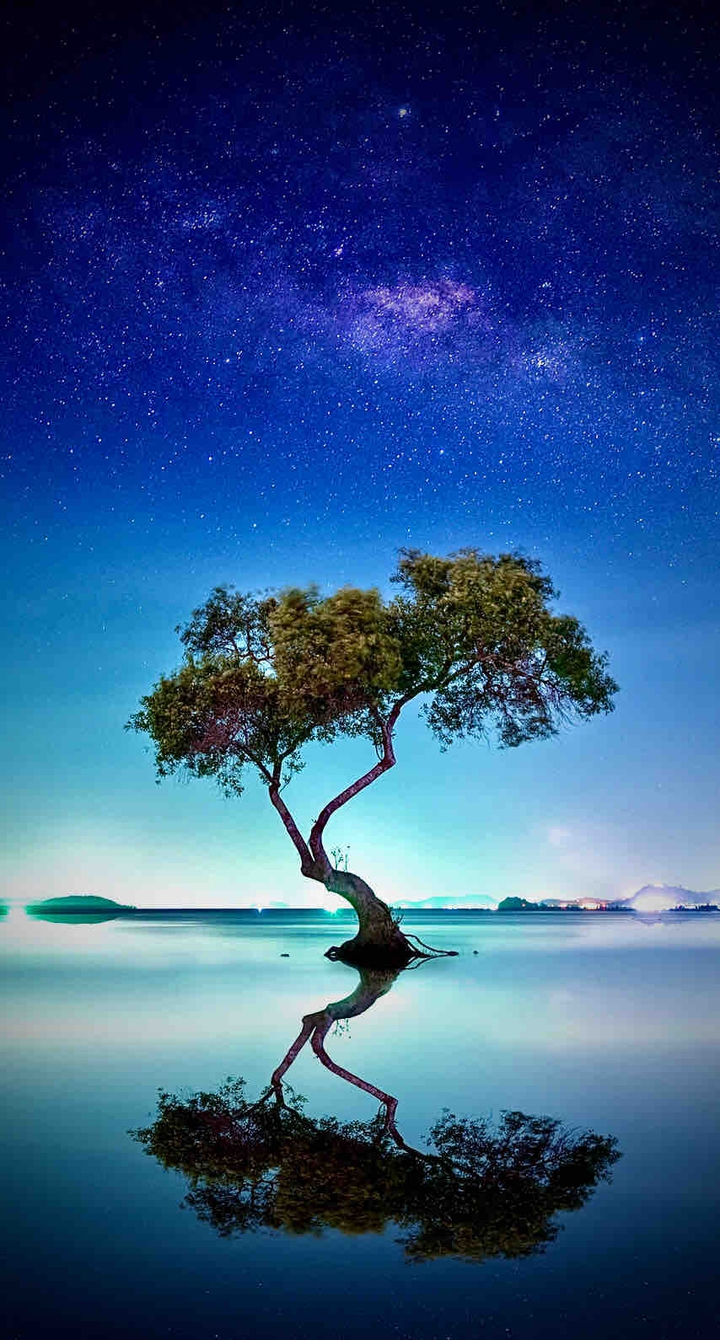 Our nature is everything