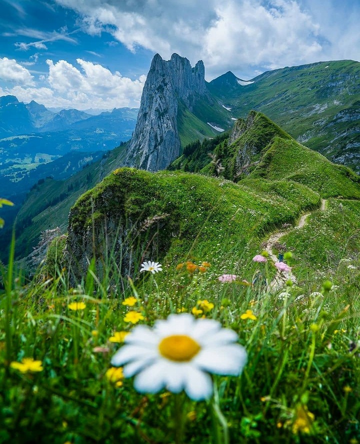 Mountain view