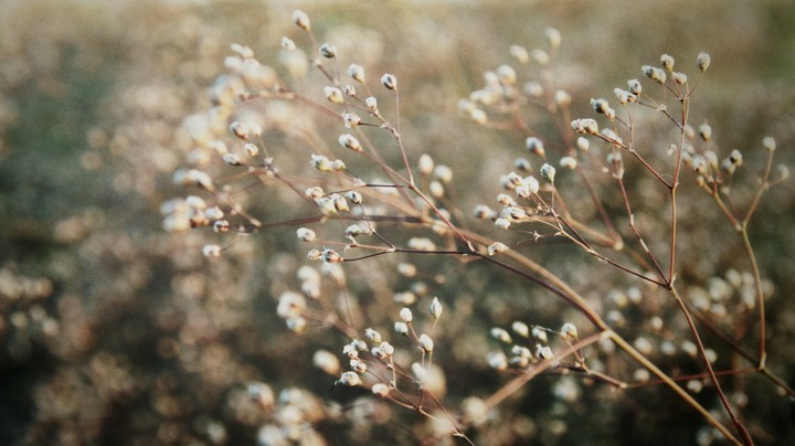 Wallpaper for lock screen, simply rotate