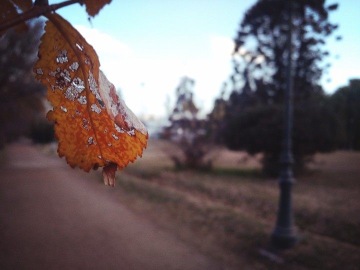 Otoño