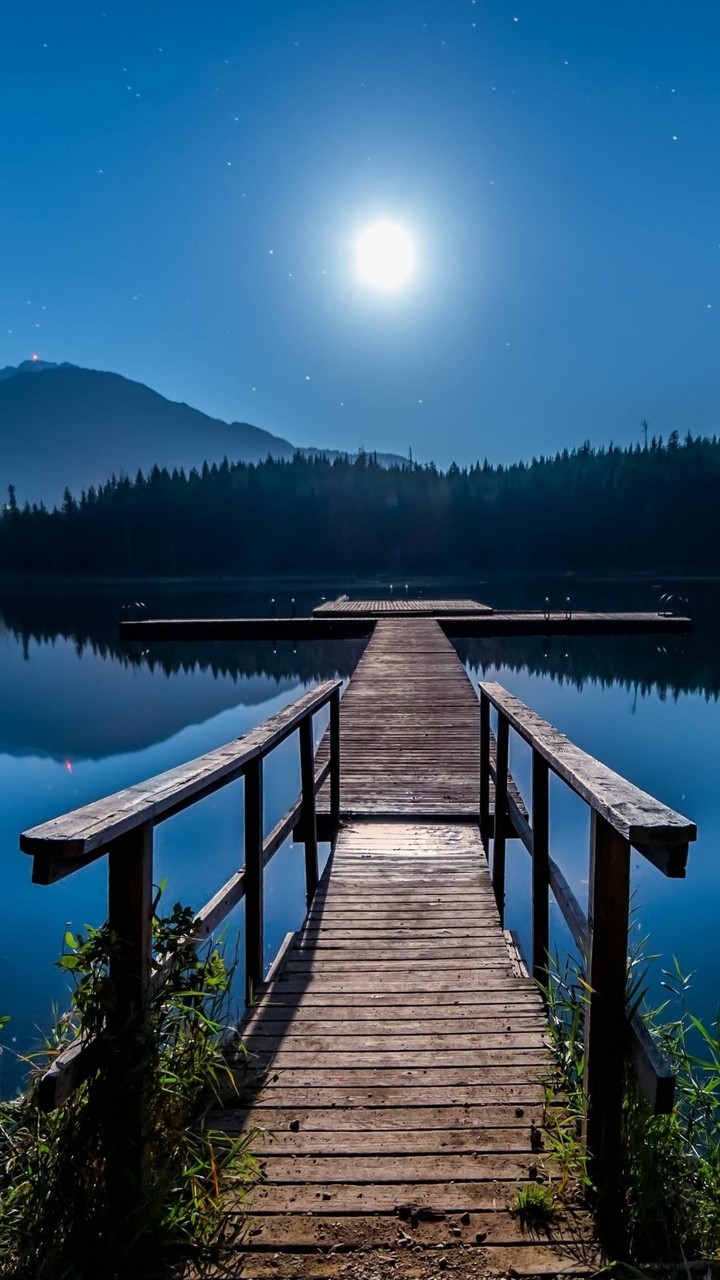 Lake Doc