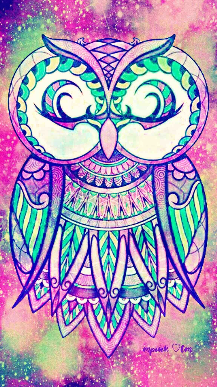 Aztec Owl
