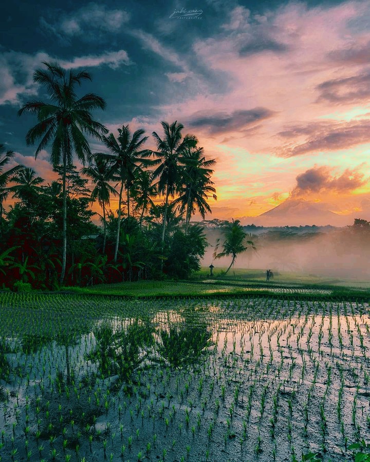 Nature