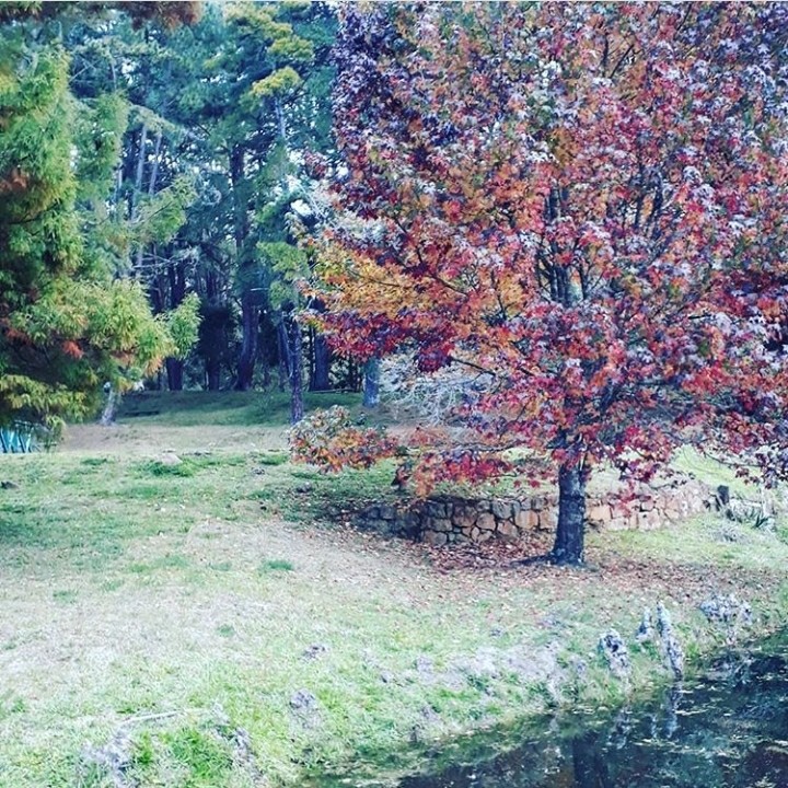Natureza