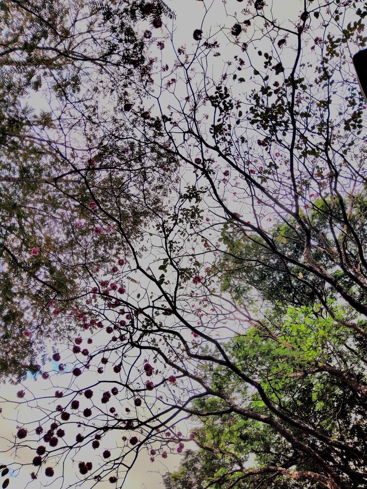 Cores