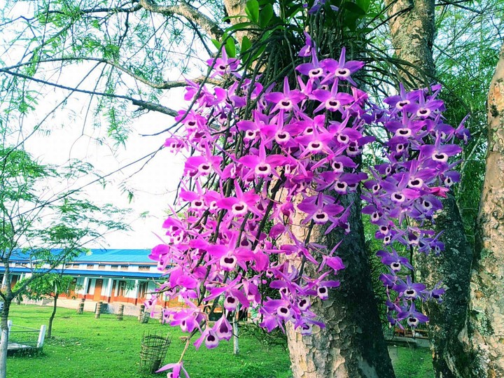 My College!!!