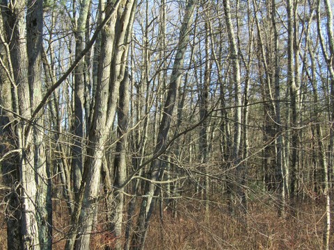Rhode Island and Connecticut Border