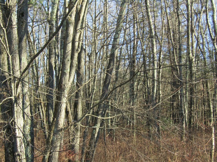 Rhode Island and Connecticut Border
