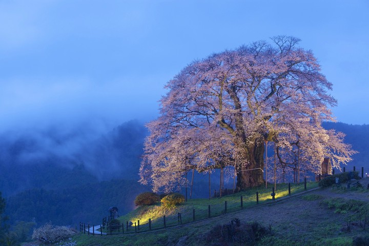 fog