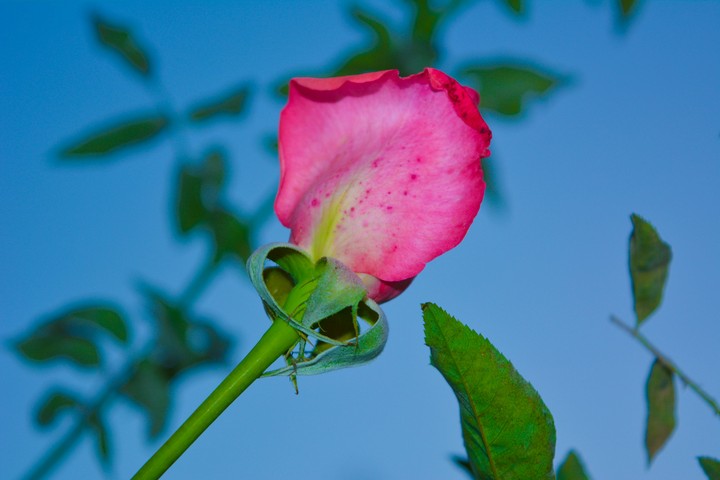 just for u ♡