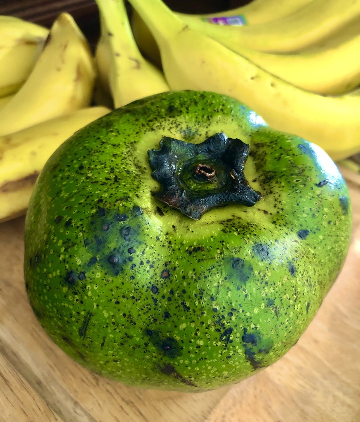 Zapote Negro