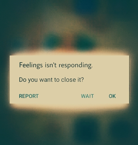 Feelings