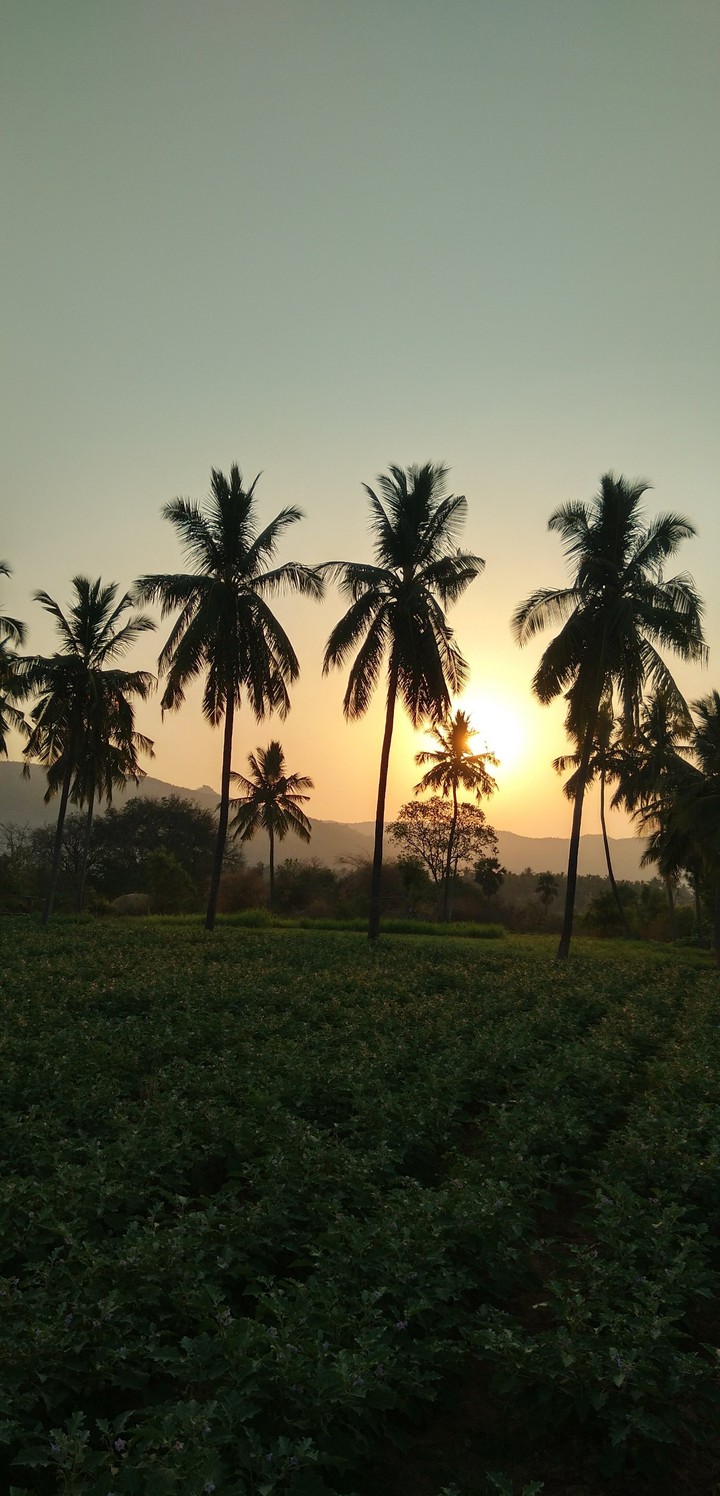 Sunrise